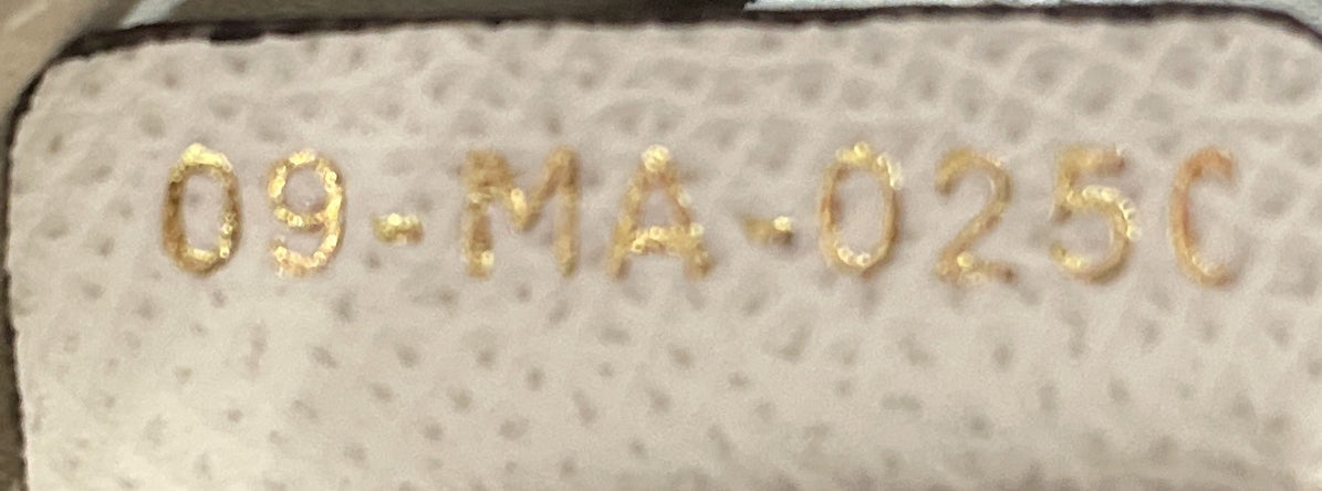 Christian Dior Saddle Leather Mini Handbag