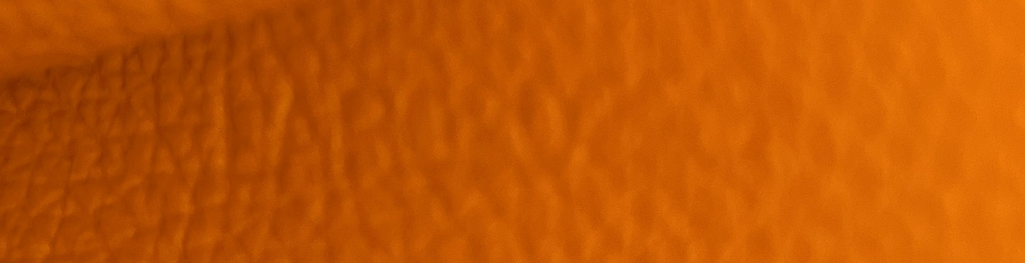 Goyard Saigon top handle bag in coated canvas and leather mini