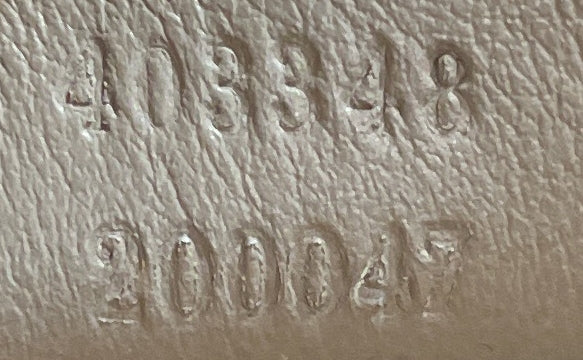 Gucci Dionysus bag, medium, GG coated canvas