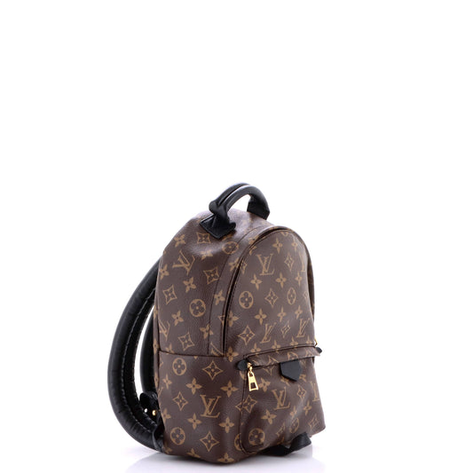 Louis Vuitton Palm Springs Backpack Monogram Canvas PM