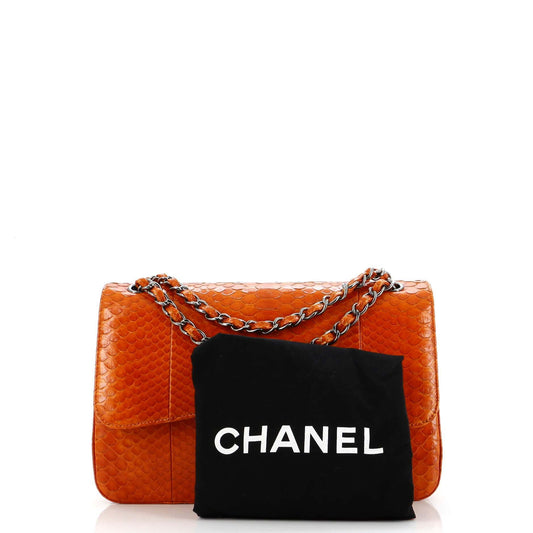 CHANELパイソン ショルダーバッグ