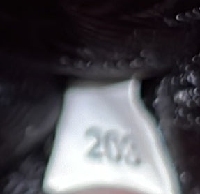 プラダ フラップ ジップ クロスボディバッグ ヴィテッロ フェニックス スモール