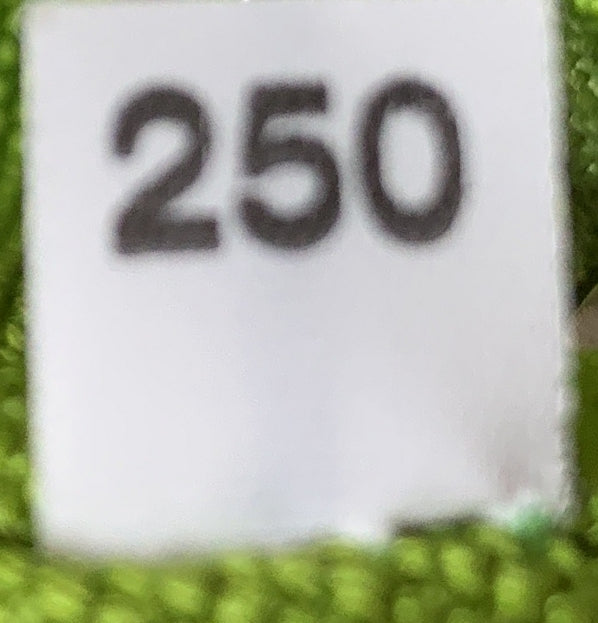 プラダ トライアングルロゴ ジップ クロスボディバッグ エンボス加工 キャンバス ラージ