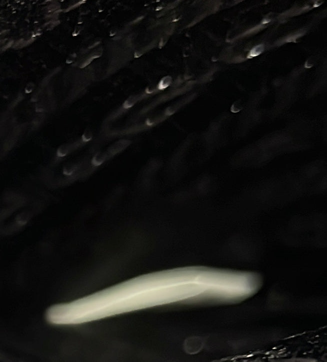 プラダ ロゴ フラップ メッセンジャー テッソ ミニ