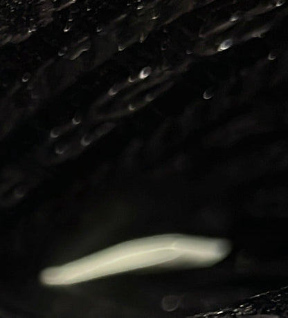 プラダ ロゴ フラップ メッセンジャー テッソ ミニ