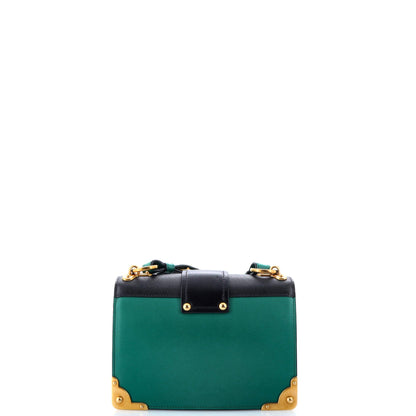 プラダ アニマリエ カイエ クロスボディバッグ シティカーフ＆サフィアーノ スモール