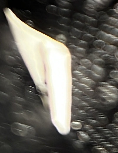 プラダ チェーンフラップ クロスボディバッグ サフィアーノレザー ミニ