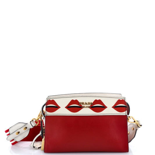 プラダ エスプラナード クロスボディバッグ プリント サフィアーノ＆シティカーフ スモール