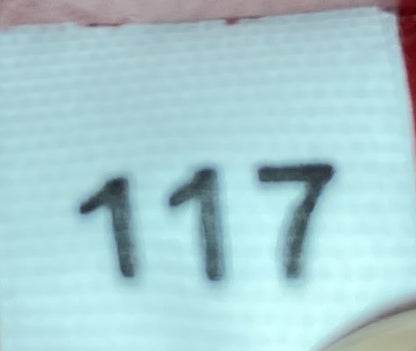 プラダ エスプラナード クロスボディバッグ プリント サフィアーノ＆シティカーフ スモール