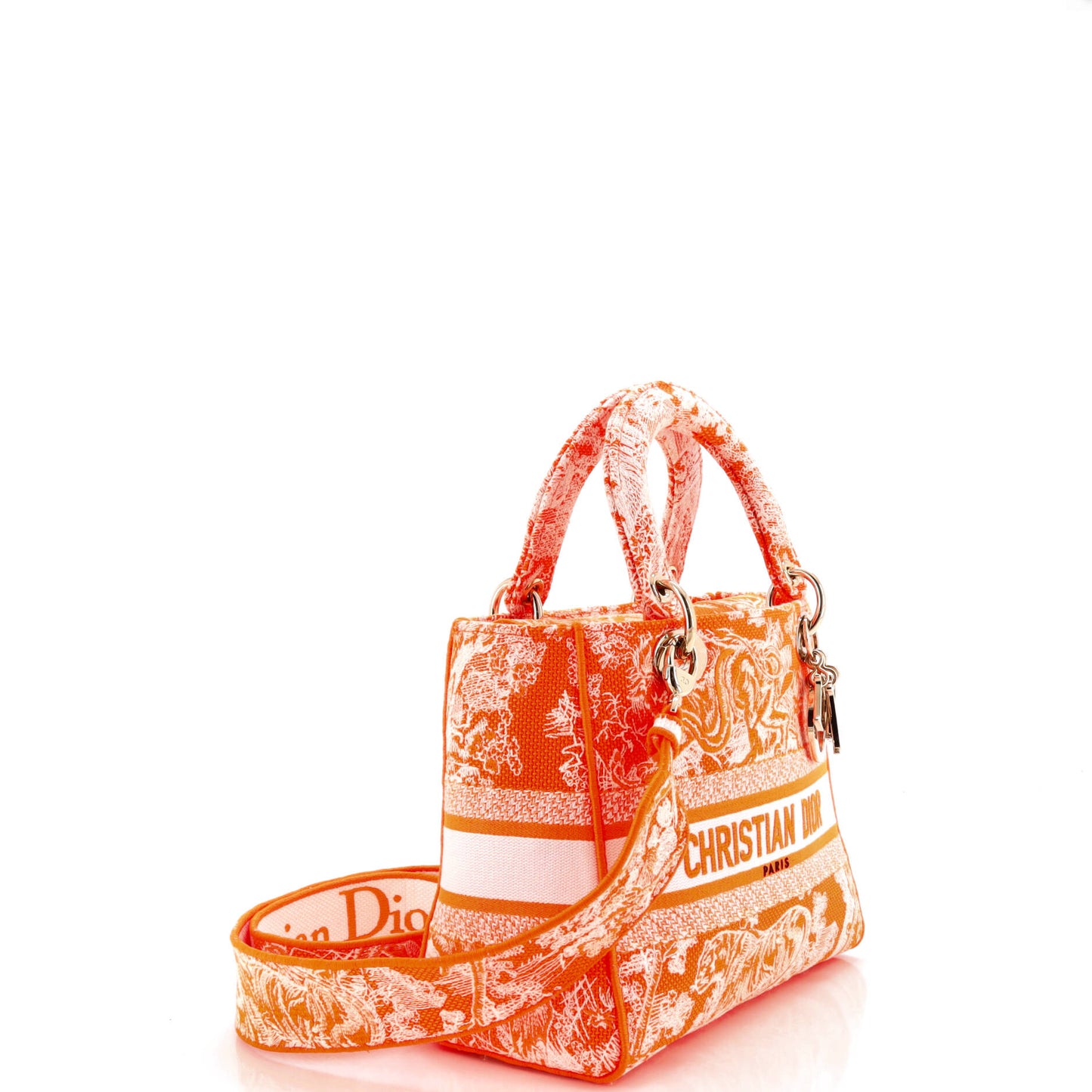 Christian Dior トワル ドゥ ジュイ レディ D-Lite バッグ 刺繍入りキャンバス