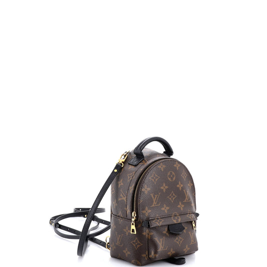 ルイ・モノグラム パームスプリングス バックパック モノグラム キャンバス ミニ