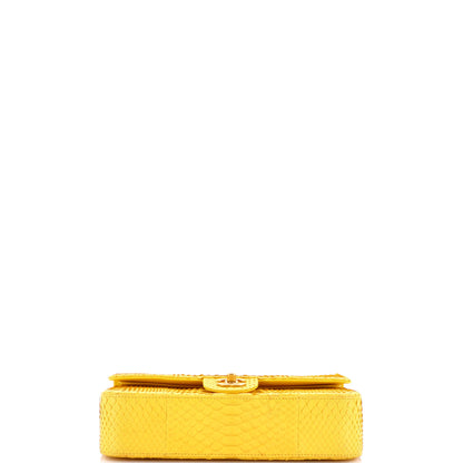 シャネル クラシック ダブルフラップバッグ パイソン ミディアム