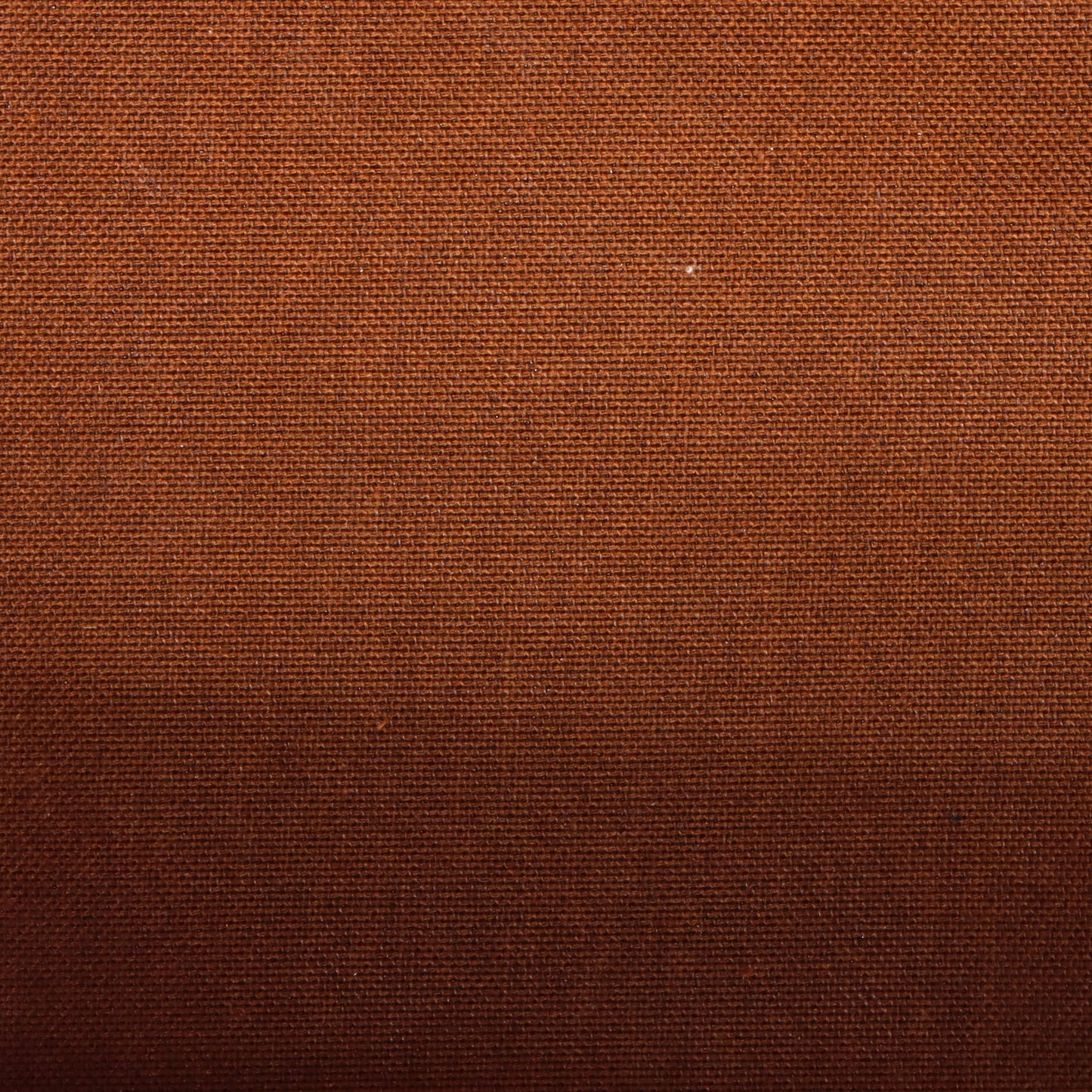 ルイ・モノグラム ノエ ハンドバッグ モノグラム キャンバス ミニ