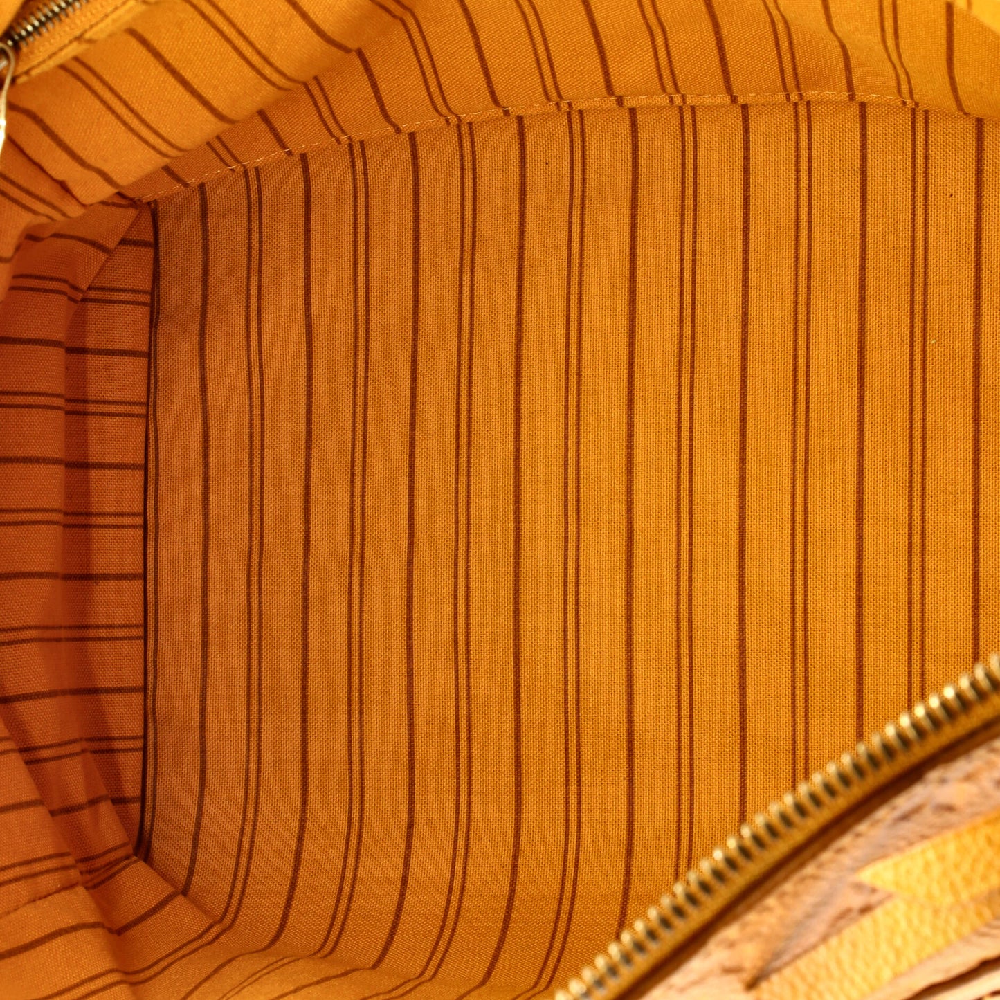 ルイ・シルエット ルミヌーズ ハンドバッグ モノグラムアンプラント レザー PM