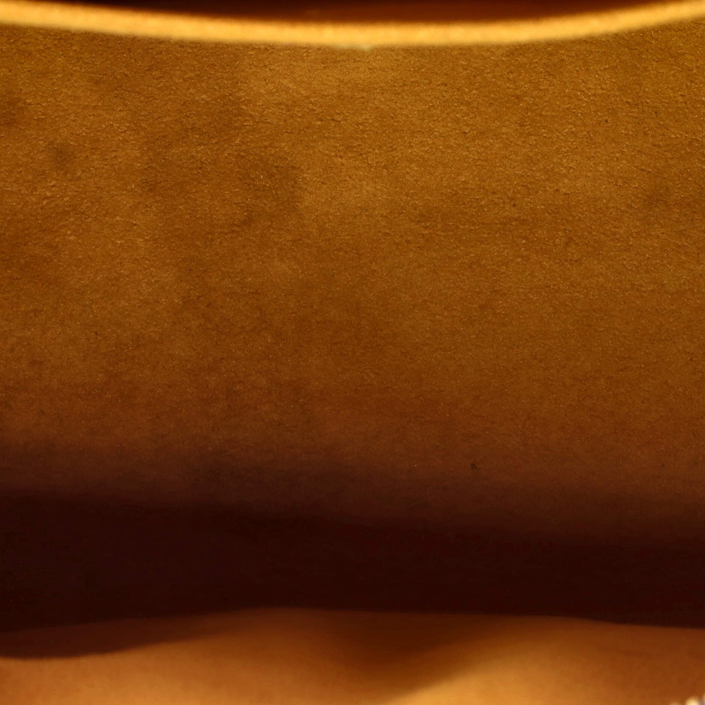 ルイ・フラッグ ネオ・スピーディ・バッグ デニム