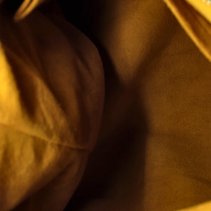 ルイ・フラッグ ネオ・キャビー ハンドバッグ デニム GM