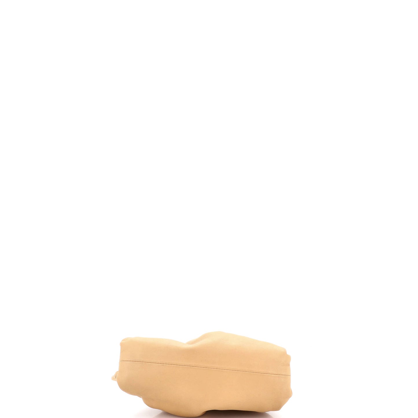 Bottega Veneta The Pouch Leather Mini