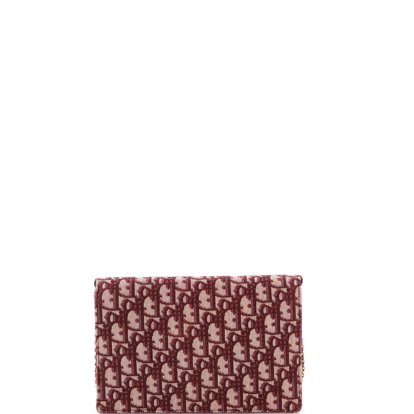 Christian Dior Saddle Chain Clutch in Oblique Canvas