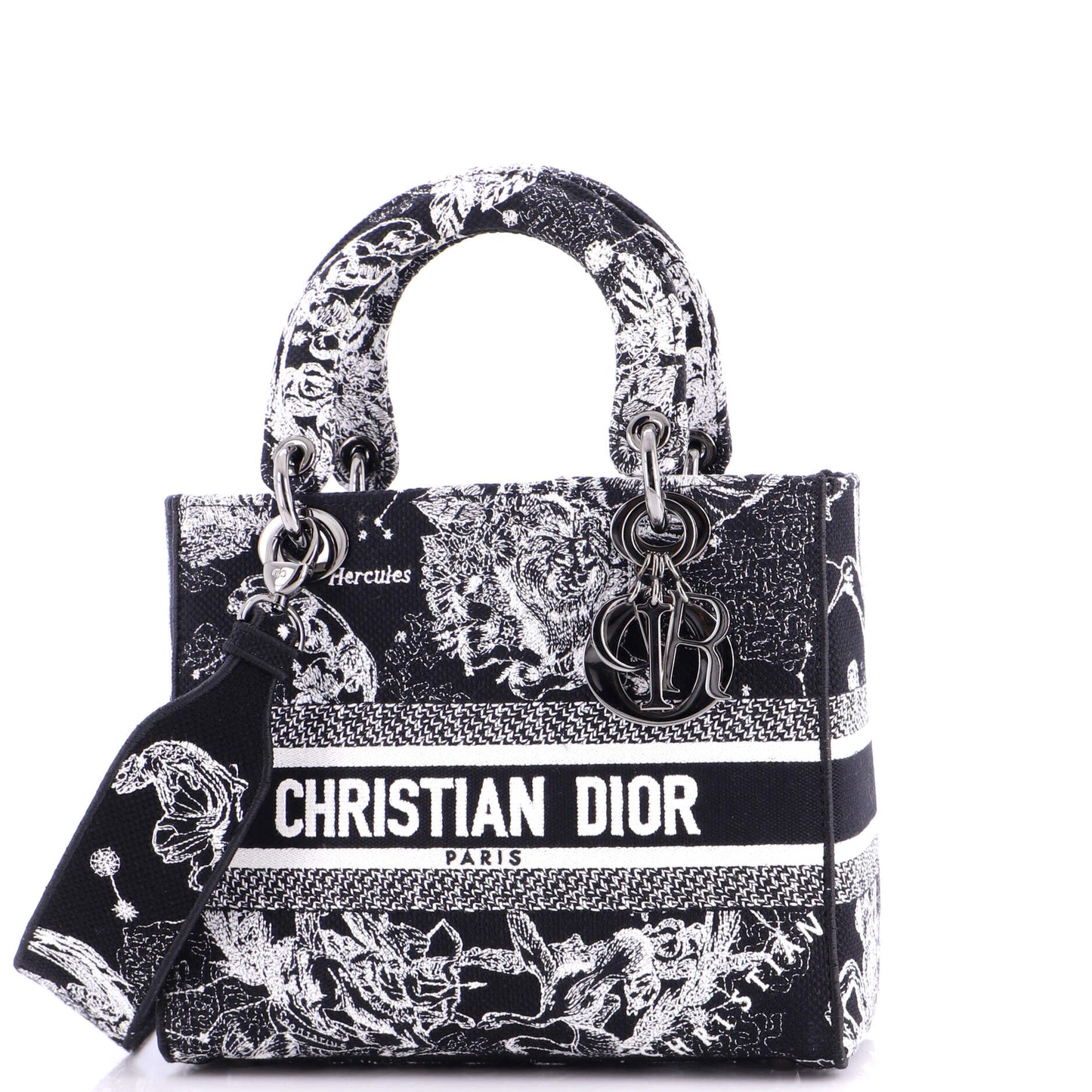 Christian Dior Lady D-Lite Bag, Medium, Embroidered Canvas
