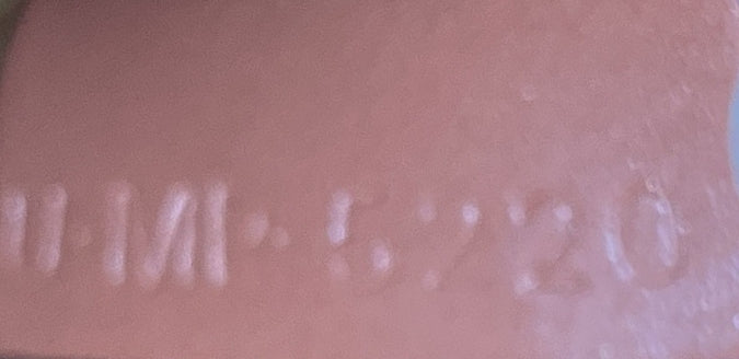 Celine Teen Cabas de France Triomphe Coated Canvas Small Bag