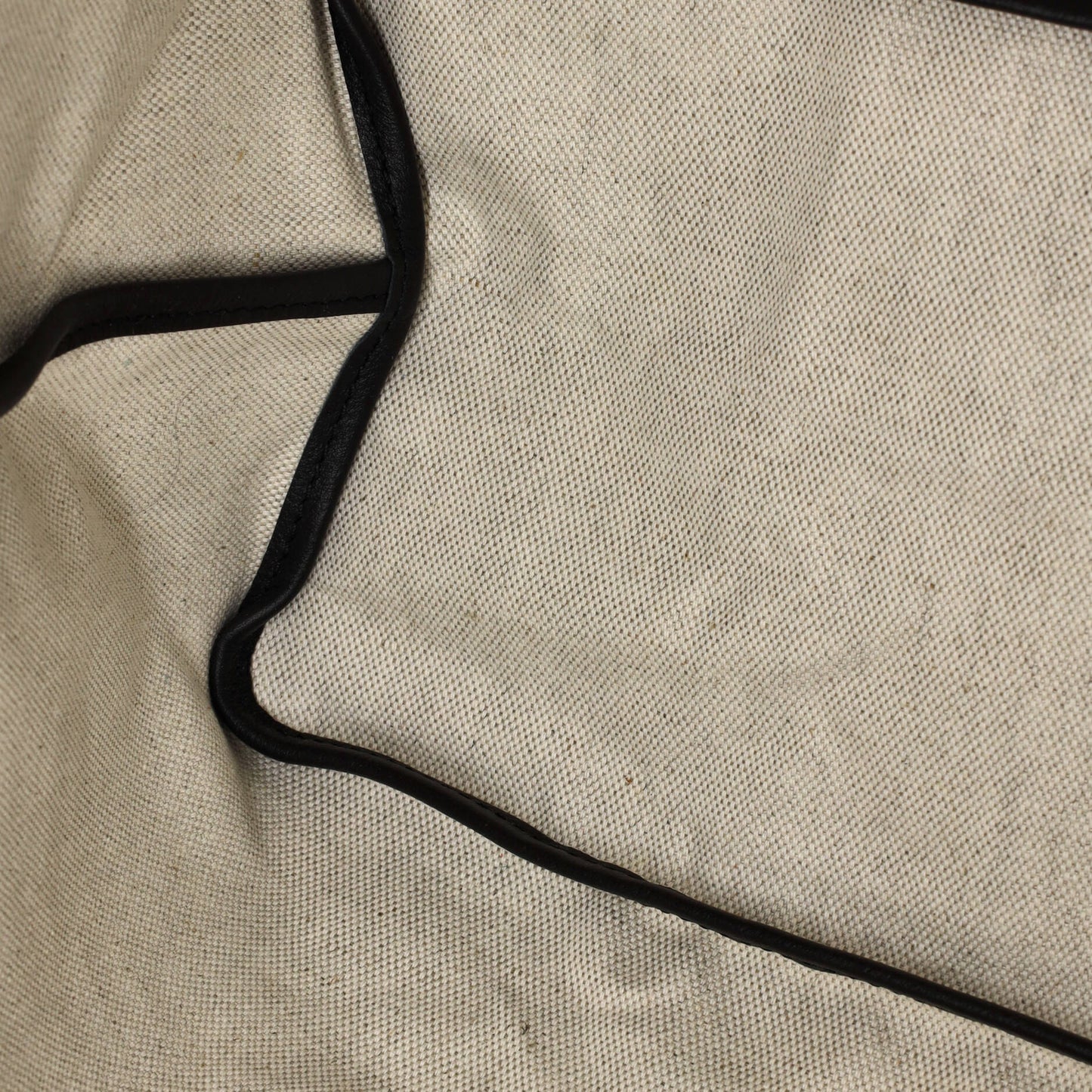 Goyard Saint Louis Tote in Coated Canvas PM