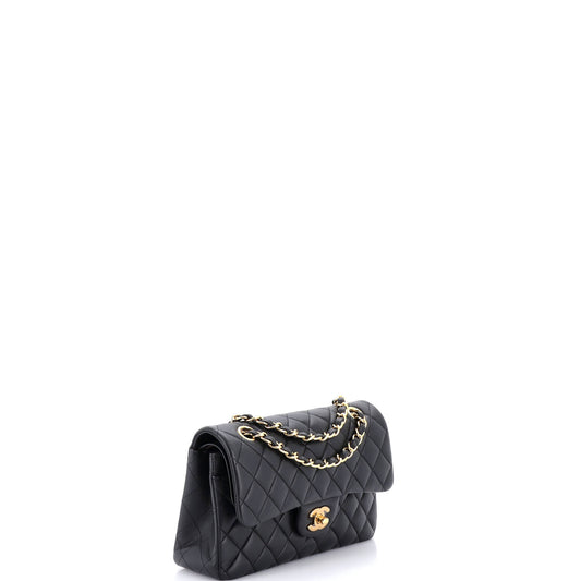 Chanel Classic Double Flap Bag, Quilted Lambskin, Small