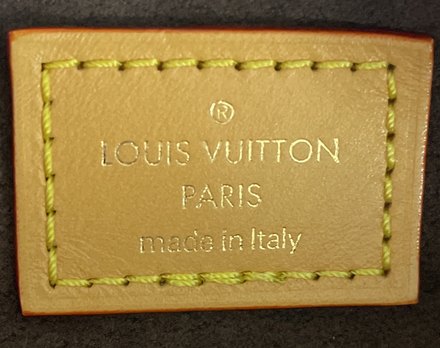 Louis Vuitton Mini Bum Bag in Monogram Canvas