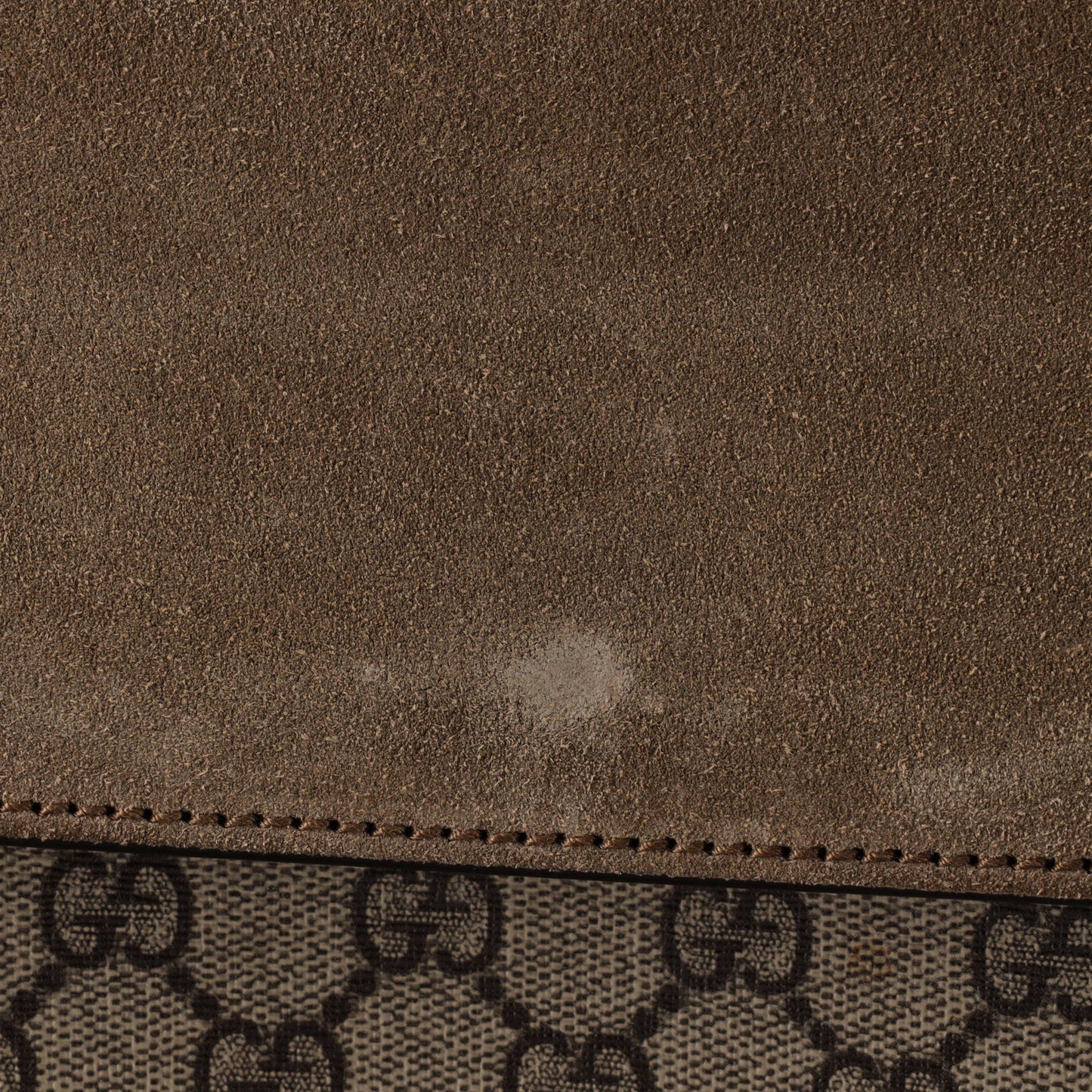 Gucci Dionysus bag, medium, GG coated canvas