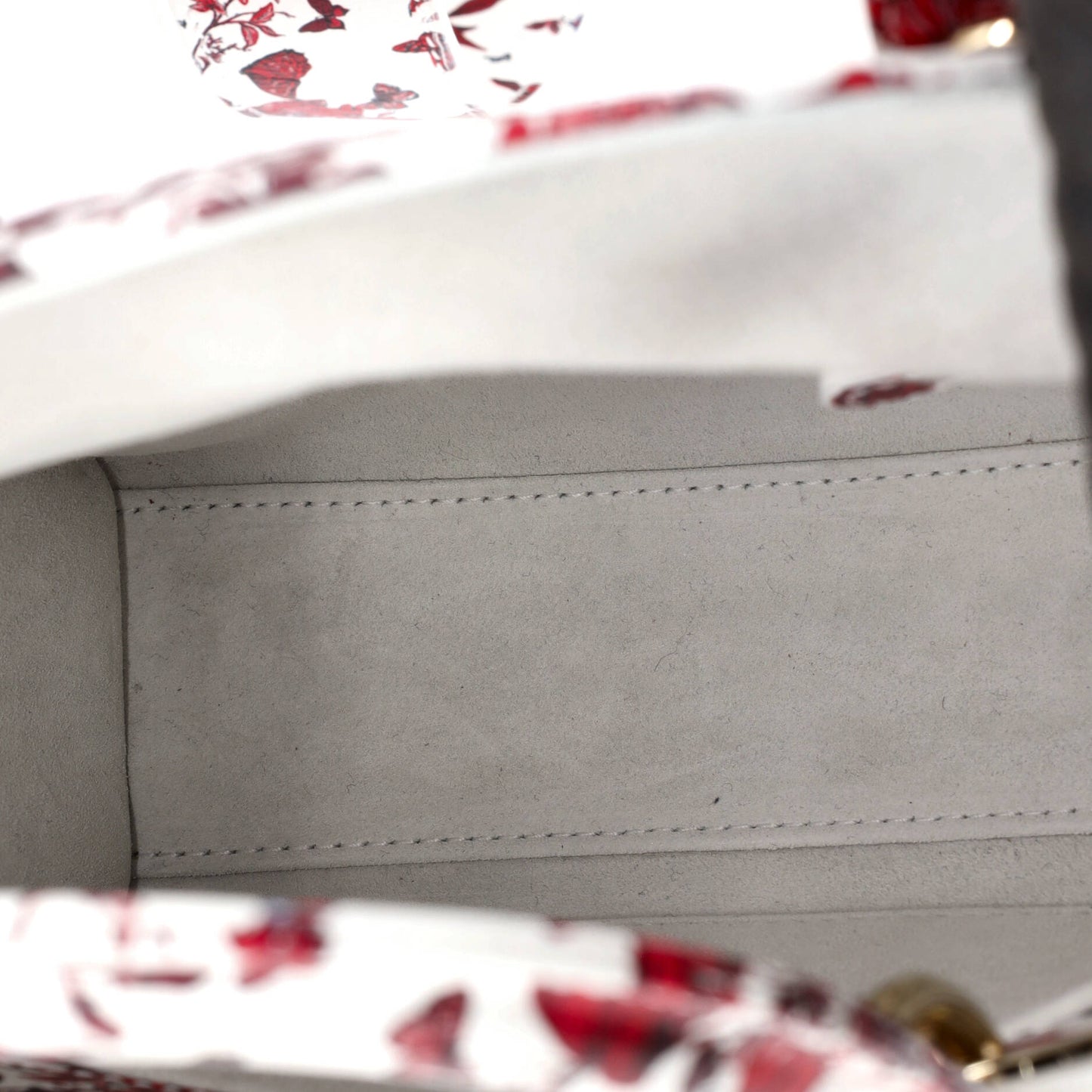 Christian Dior My ABC Dior Lady Dior Bag in Printed Leather, Small