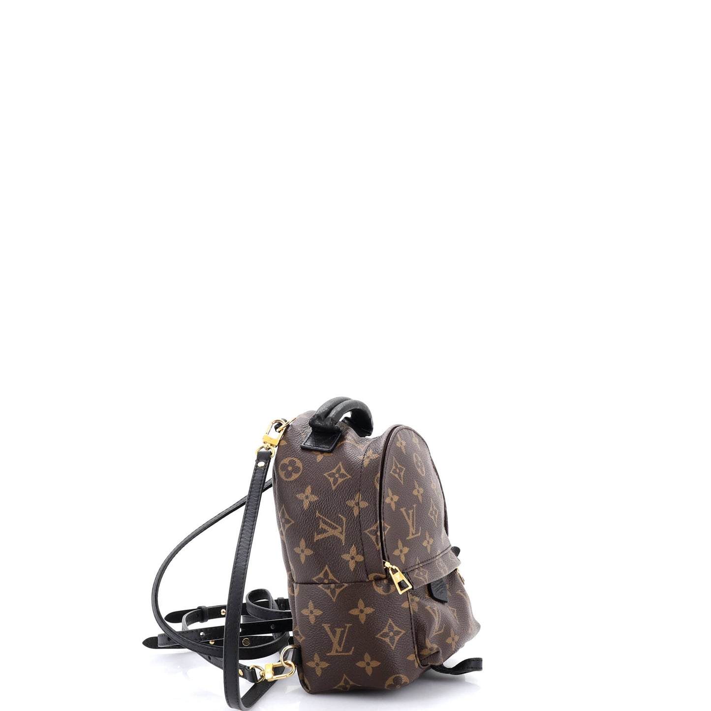 Louis Vuitton Palm Springs Mini Backpack in Monogram Canvas