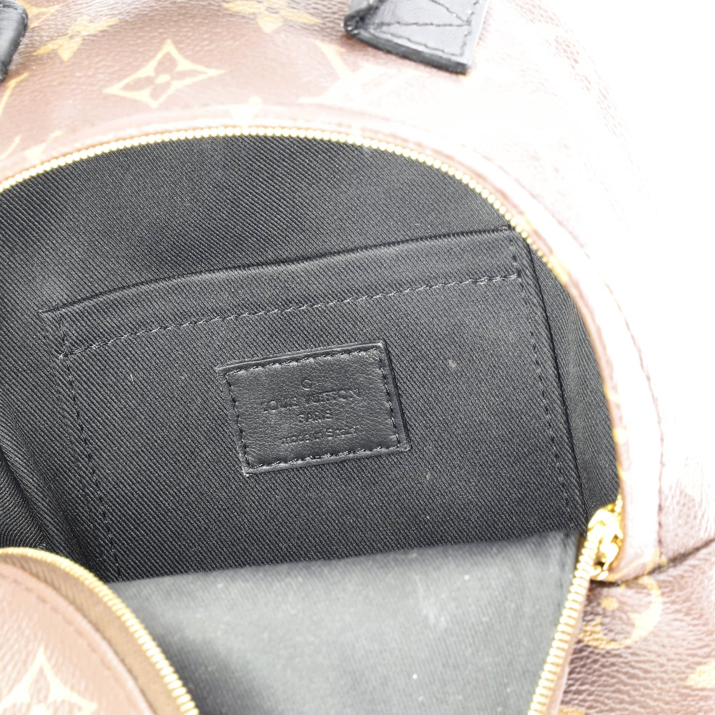Louis Vuitton Palm Springs Mini Backpack in Monogram Canvas