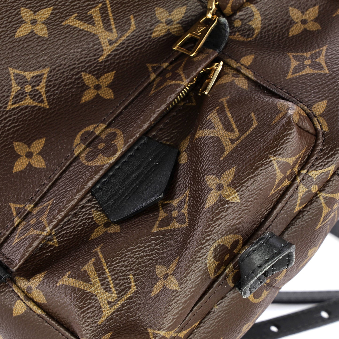 Louis Vuitton Palm Springs Mini Backpack in Monogram Canvas