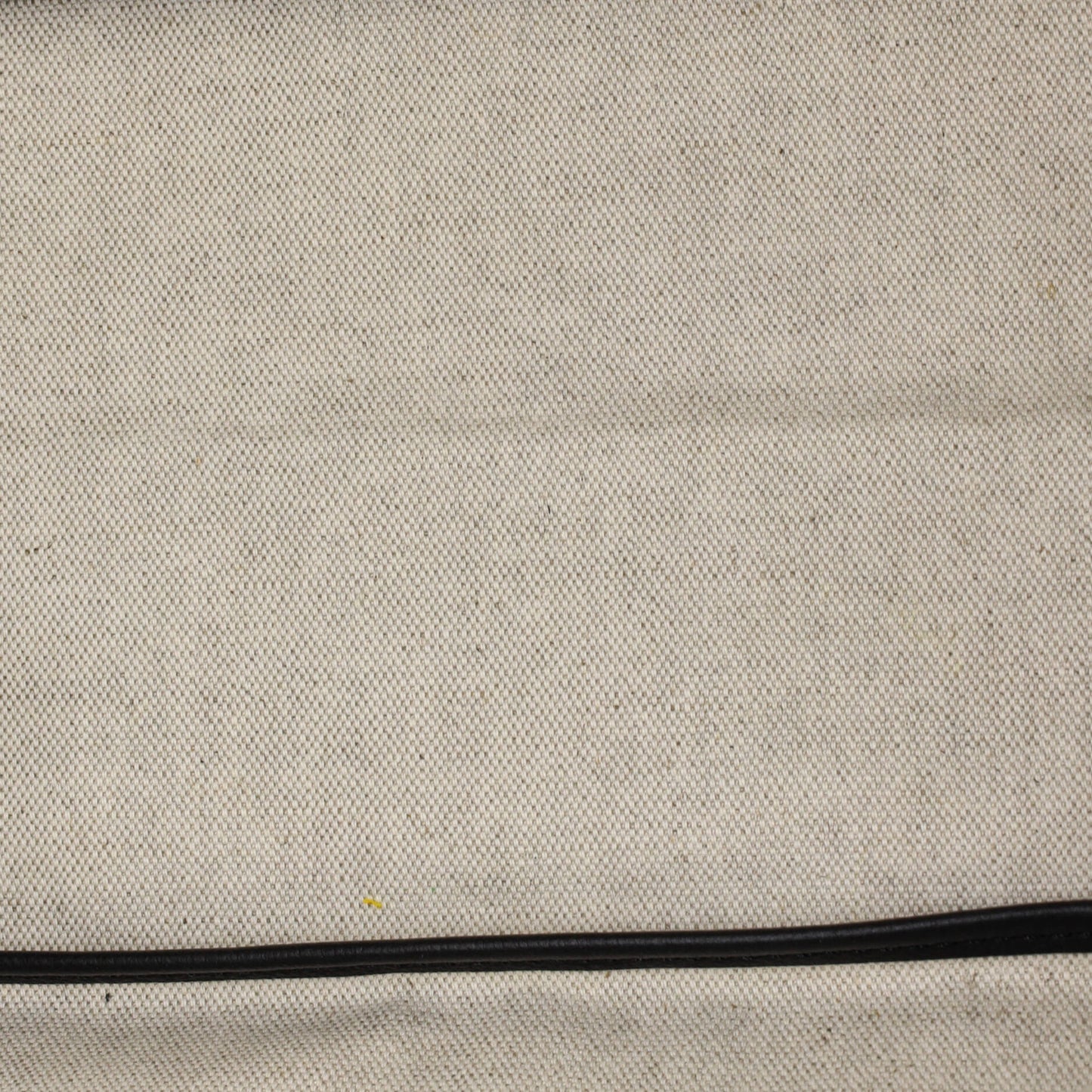 Goyard Saint Louis Tote in Coated Canvas PM