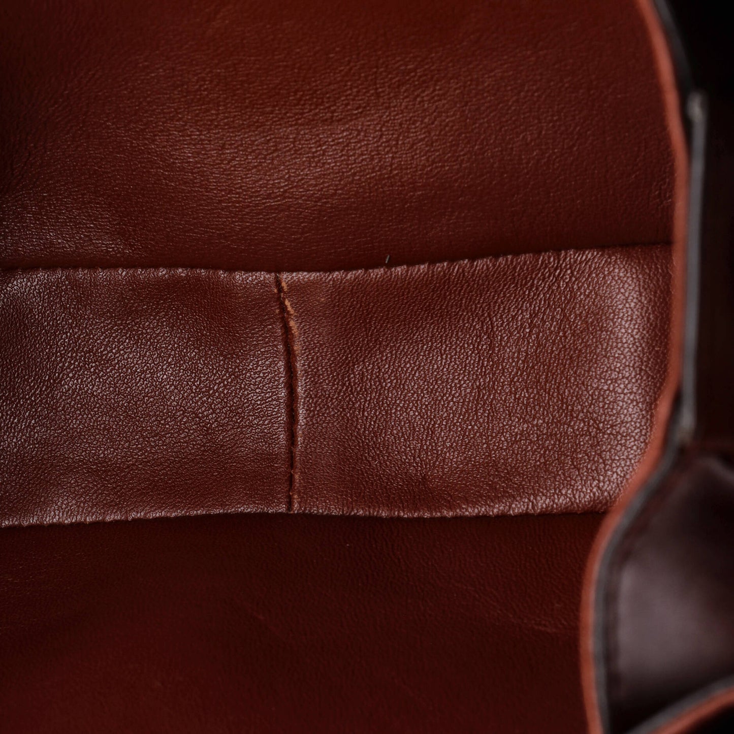 Celine Triomphe Medium Shoulder Bag in Smooth Calfskin
