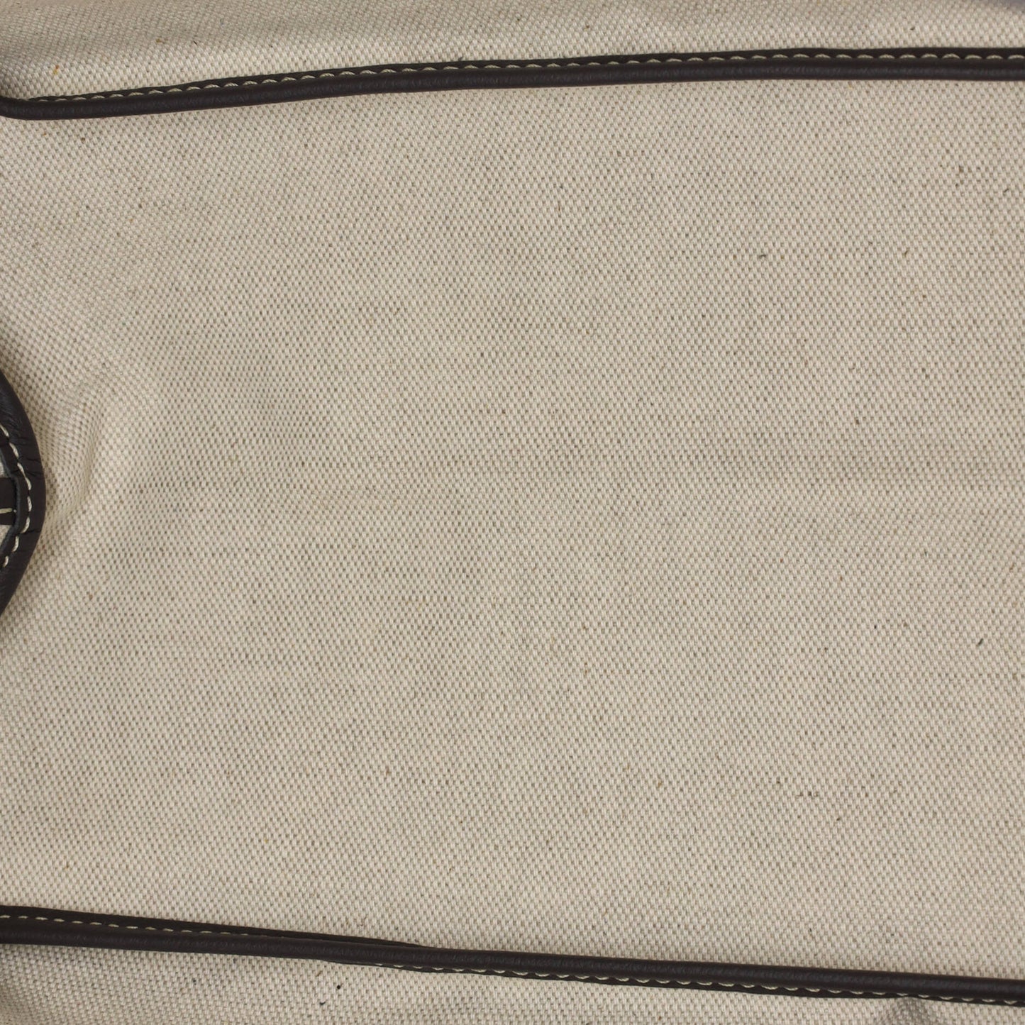 Goyard Saint Louis Tote in Coated Canvas PM