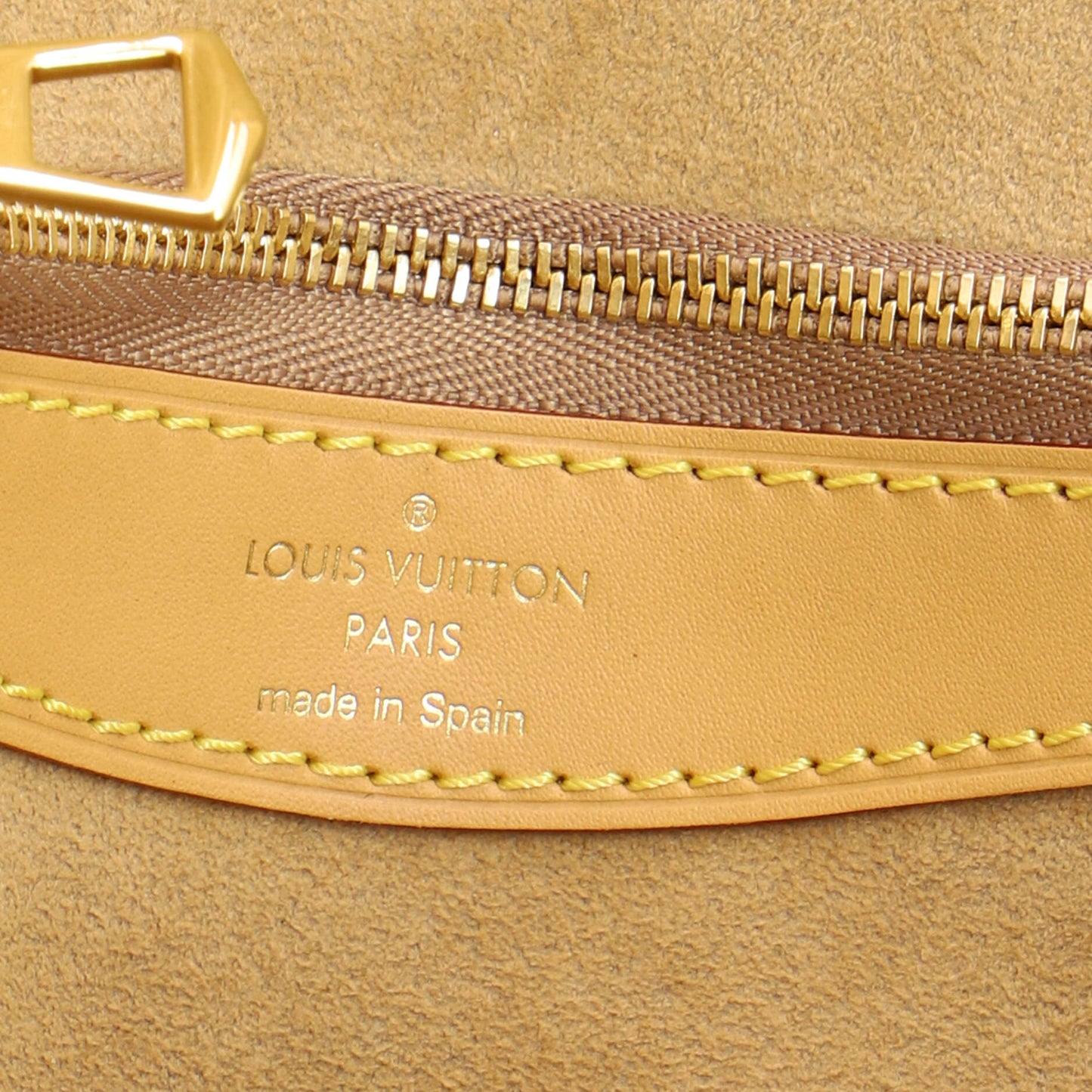 Louis Vuitton Diane NM Handbag in Monogram Canvas with Shearling