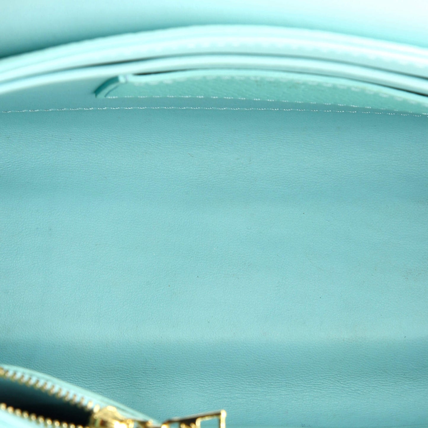 Louis Vuitton Summer Splash Twist Bag in Iridescent Calfskin, MM