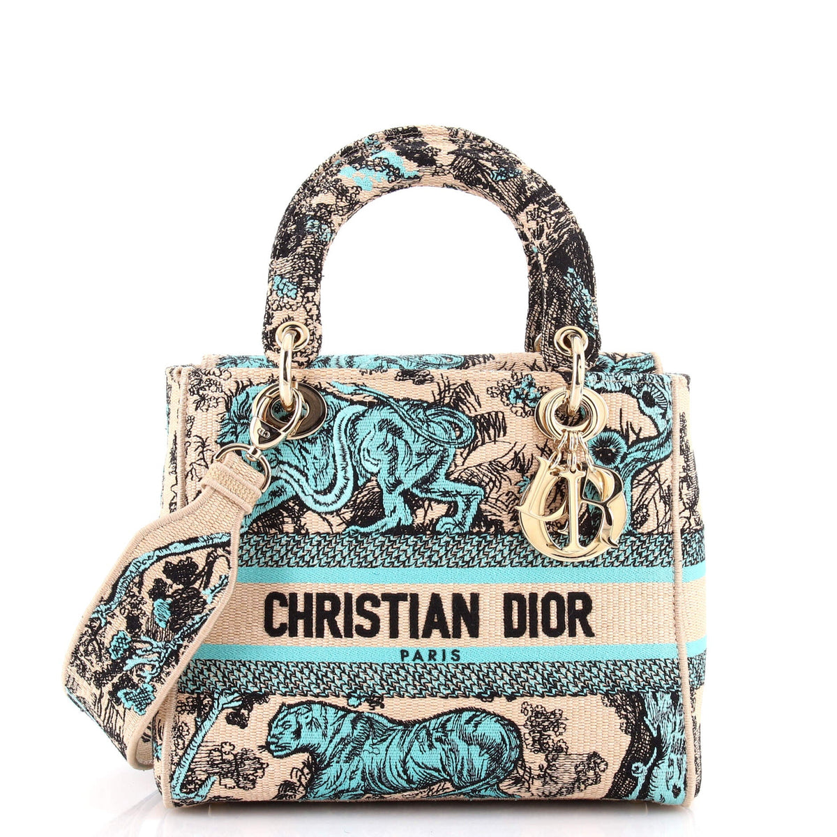 Christian Dior Lady D-Lite Bag Embroidered Canvas Medium