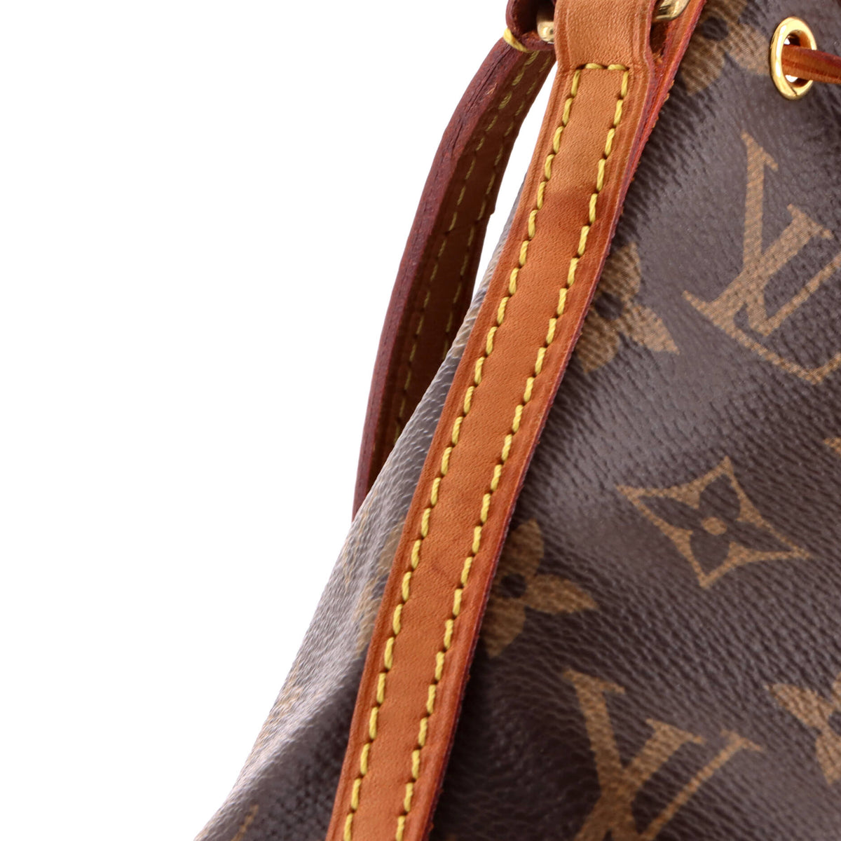 Louis Vuitton Noe Handbag Monogram Canvas Nano