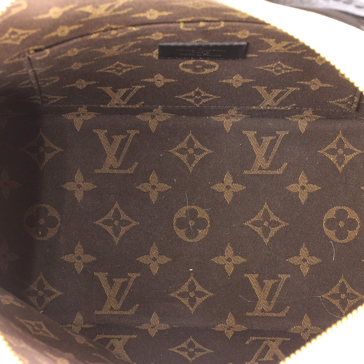 Louis Vuitton Cruiser Handbag Leather PM