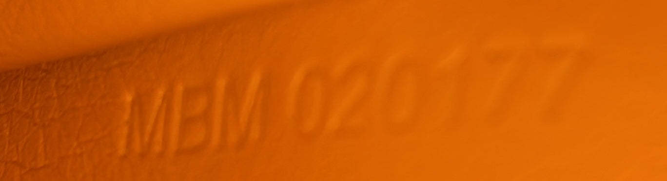 GOYARD サイゴントップハンドル ミニウッド