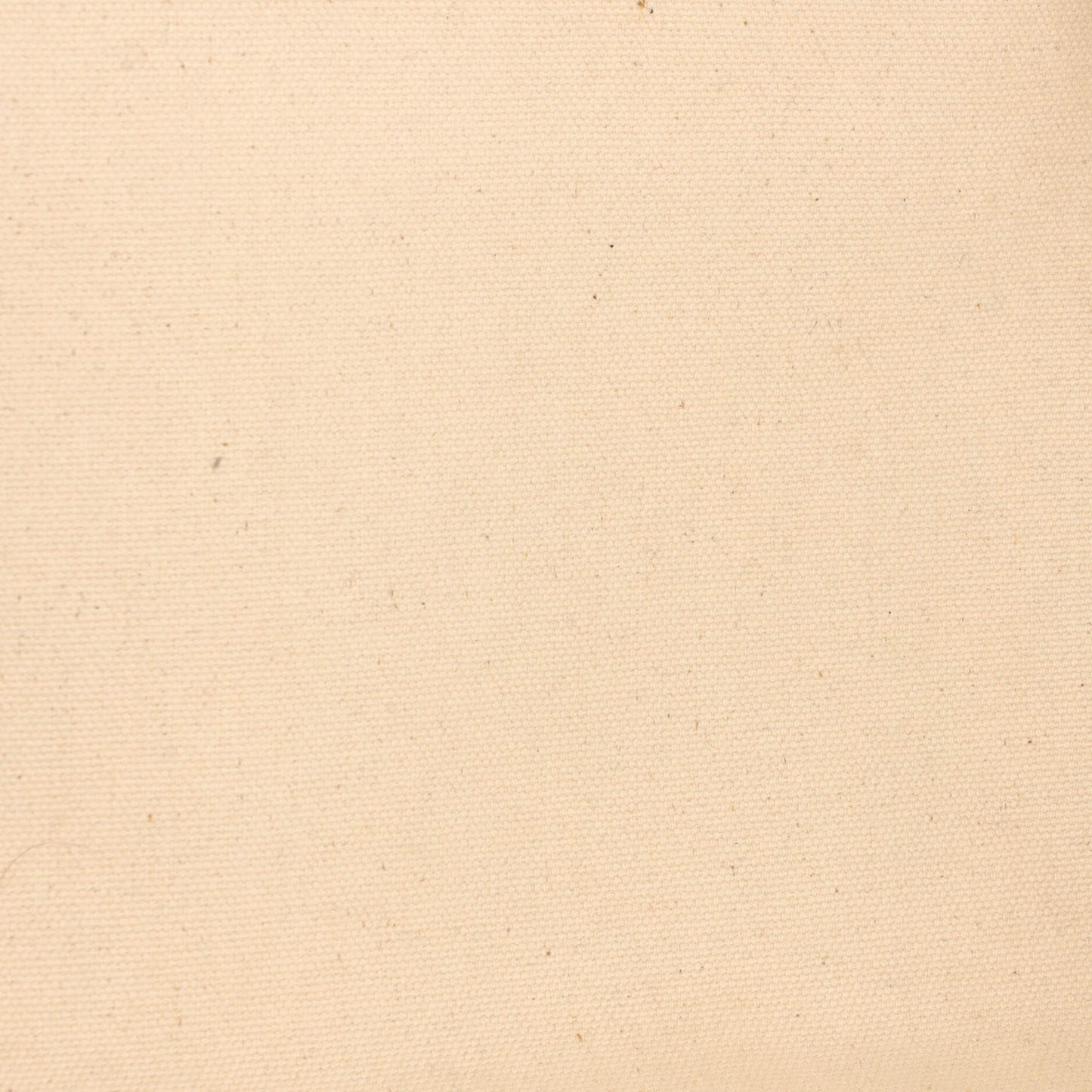 セリーヌ ホリゾンタル カバス トート キャンバス レザー なし