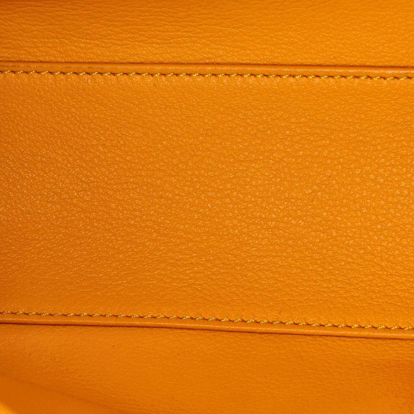 ミニゴヤール サイゴントップハンドル