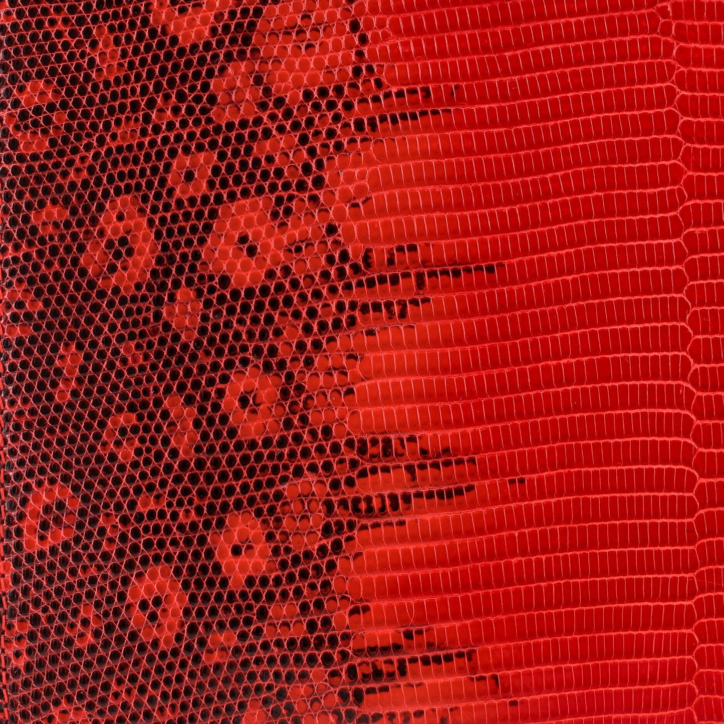 セリーヌ クラスプ クロスボディバッグ リザード ミニ