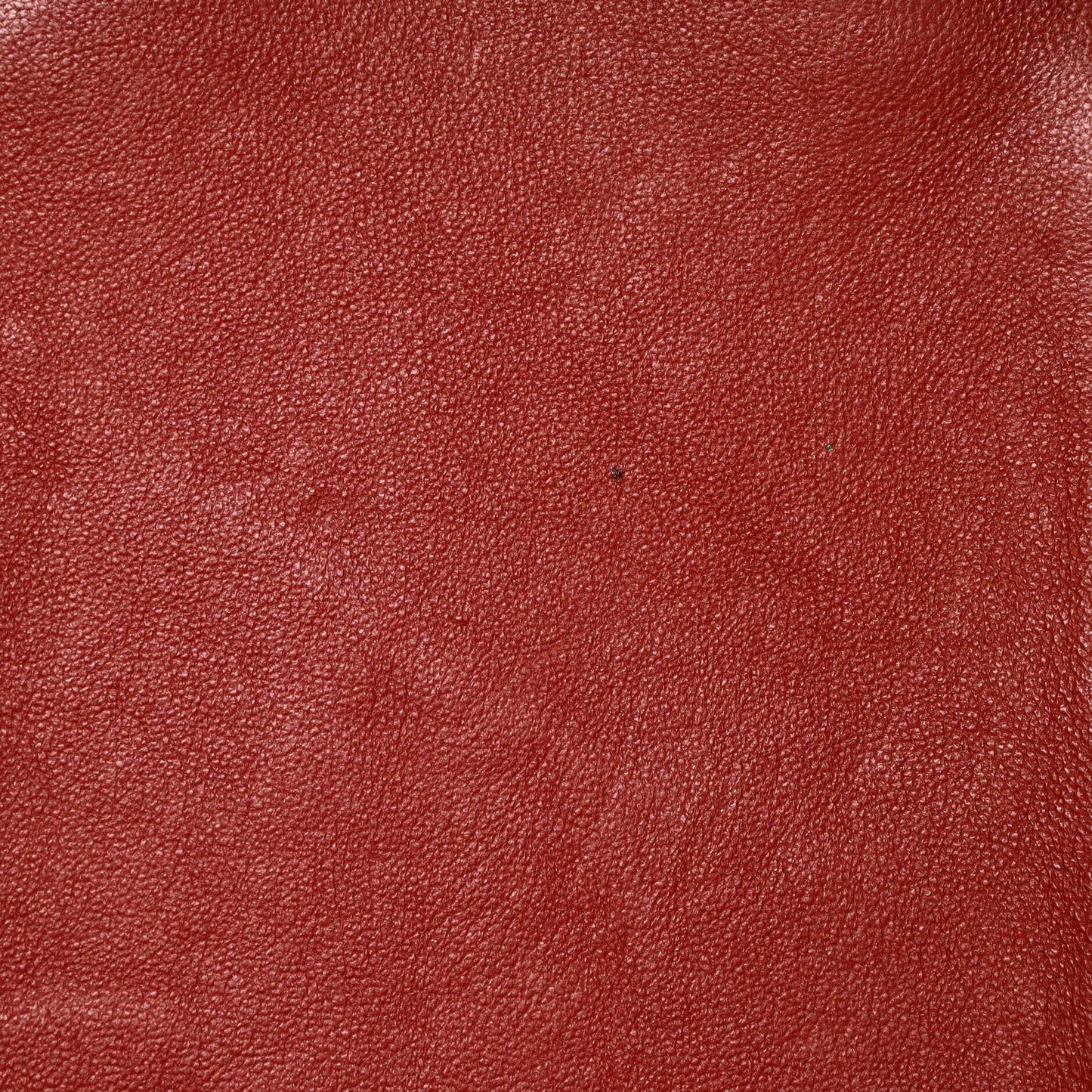 セリーヌ トリコロール ラゲッジバッグ レザー ミニ