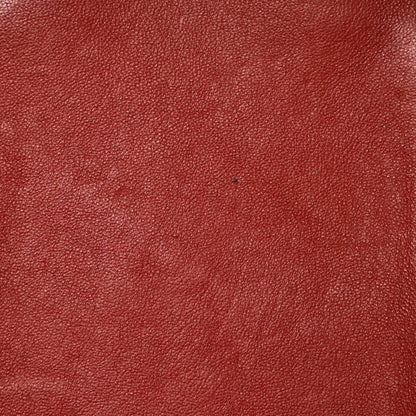 セリーヌ トリコロール ラゲッジバッグ レザー ミニ