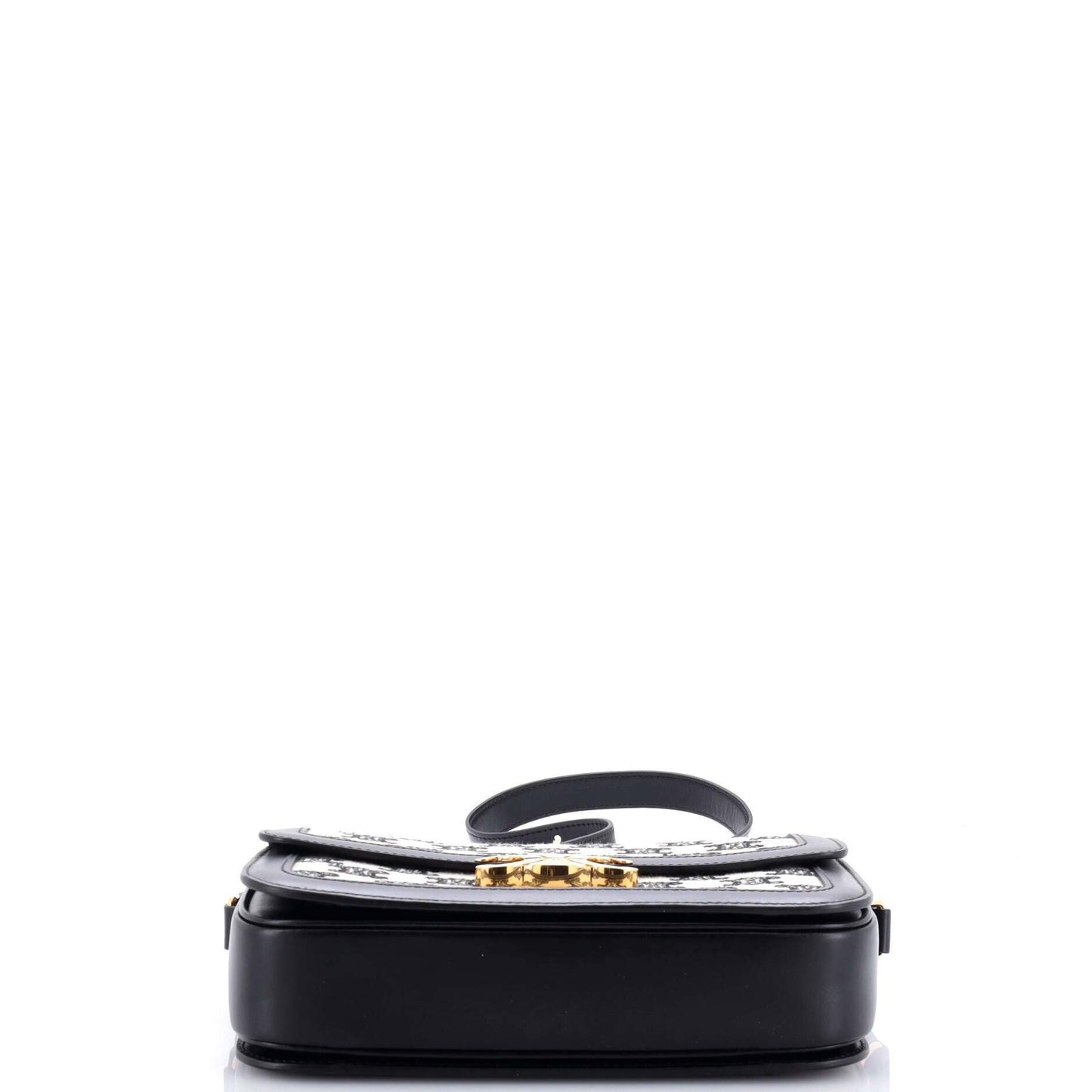 セリーヌ トリオンフ ショルダーバッグ トリオンフ キャンバス ミディアム