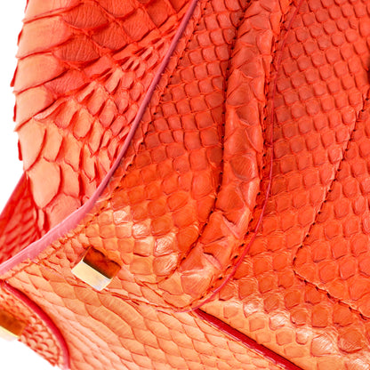 セリーヌ ラゲッジバッグ パイソン マイクロ