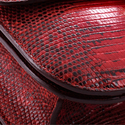 セリーヌ クラシック ボックスバッグ リザード ミディアム