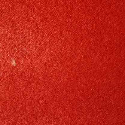 セリーヌ ラゲッジバッグ スムースレザー ミニ